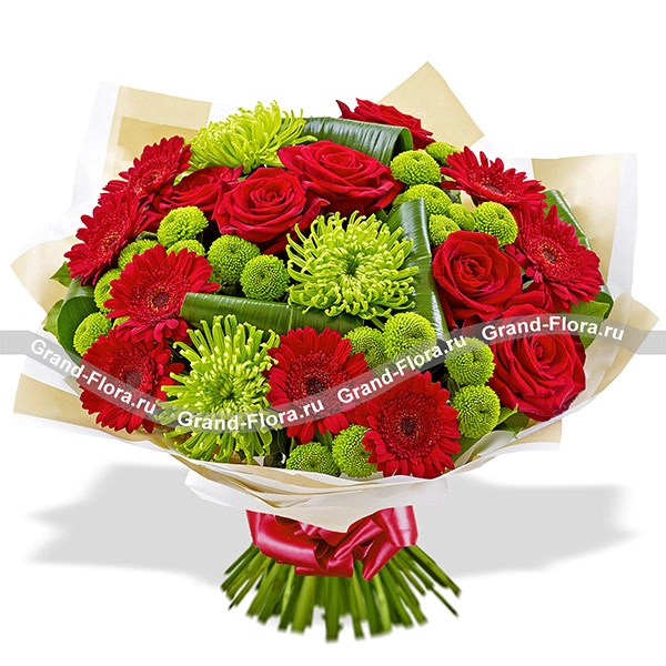 Великая красота